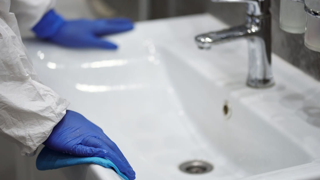 Twice-Weekly Cleaning — two visits a week for busy houses